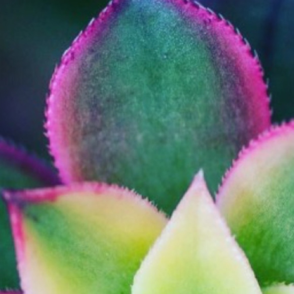 Hi! Welcome to my posh listings.